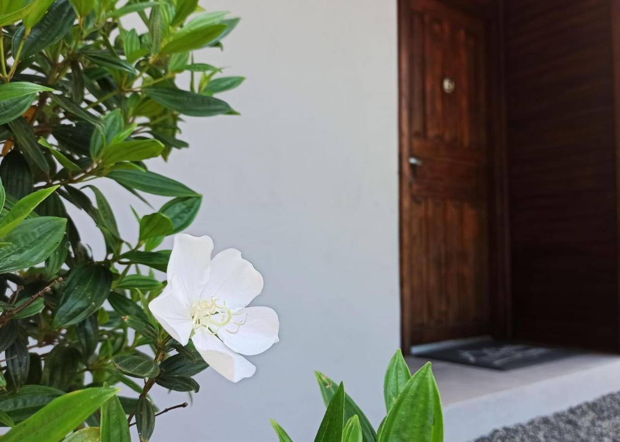 Chales Da Ninah Penha  Eksteriør bilde